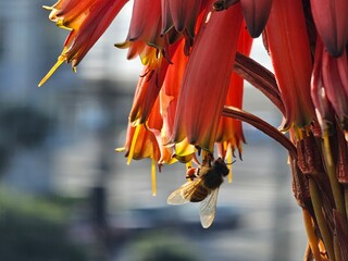 Scenes from San Francisco