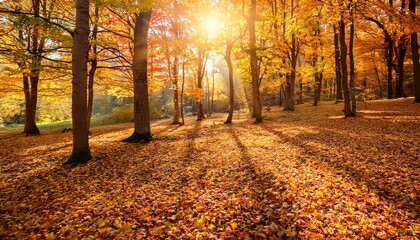 Obraz premium vibrant golden autumn forest scene with sunlight filtering through trees and colorful maple leaves falling gently to the ground