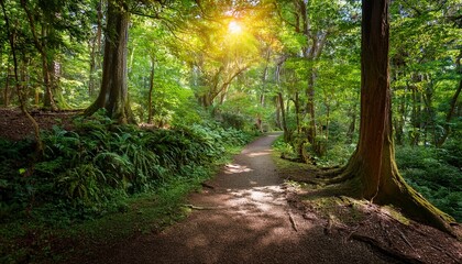 Fototapeta premium serene pathway through lush green forest with dappled sunlight