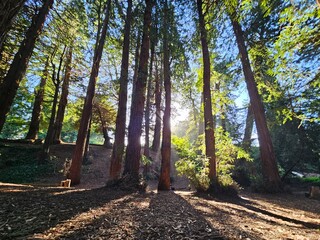 Scenes from San Francisco