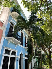 Brightly colored blue houses with palm trees in San Juan, Puerto Rico