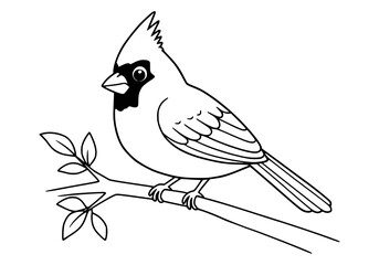 cardinal bird coloring book