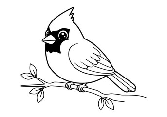 cardinal bird coloring book