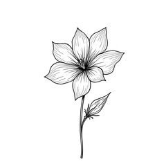 Obraz premium illustration of a flower drawing