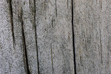 old wood texture