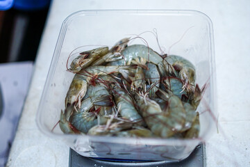 Raw shrimp displayed in a clear container. Fresh seafood with visible antennas ready to be cooked,...