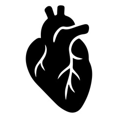 Human Heart Anatomy Detailed Black and White Illustration