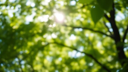 Obraz premium Sunlight filters through green foliage, creating a dreamy bokeh effect against the sky in this serene natural scene.