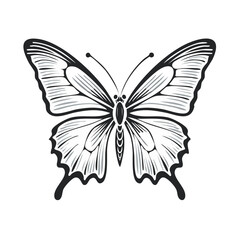 Elegant Butterfly Illustration in Black and White Tones Symmetric Design Simple Artwork insect insecta bug