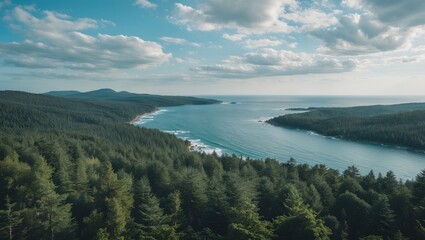 The Forest And The Sea Look From The Height.. With Empty Copy Space For Text