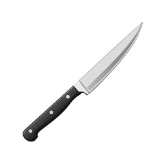 Kitchen Knife Illustration Sharp Blade Cutting Tool Culinary Prep Black Handle