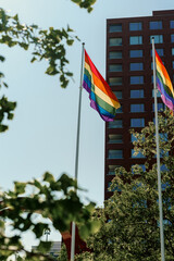 Rainbow flags waving with a building in the background