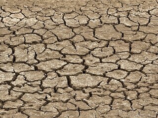 Dry pond bed with cracked ground close up as background texture