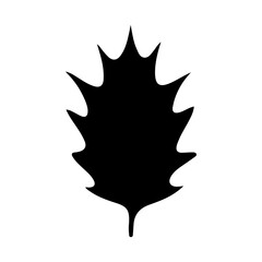 Leaf icon