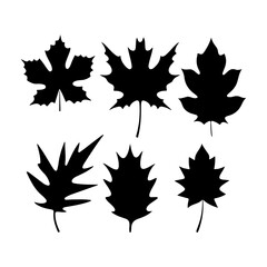 Leaf icon