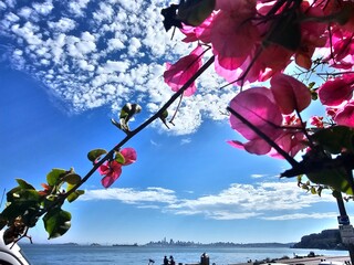 Scenes from San Francisco