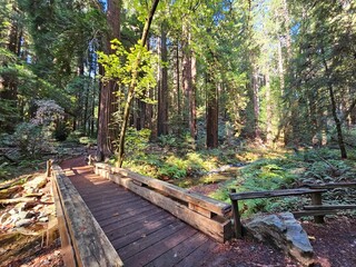 Scenes from San Francisco Bay Area