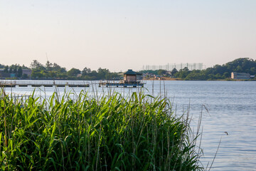 柴山潟