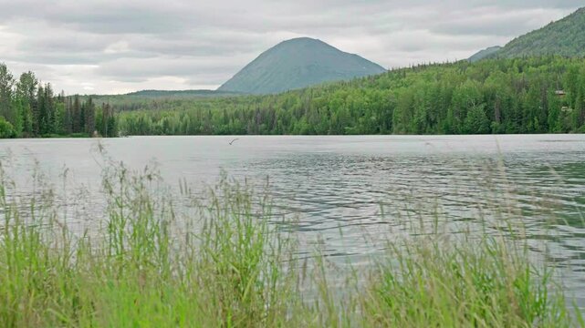 Kenai River near Cooper Landing Alaska.