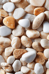 Obraz premium Collection of smooth white and beige pebbles, showcasing natural stone textures and organic patterns