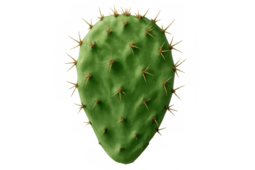 Vibrant green prickly pear cactus pad with thorns, isolated on a transparent background, perfect for desert or southwestern themes