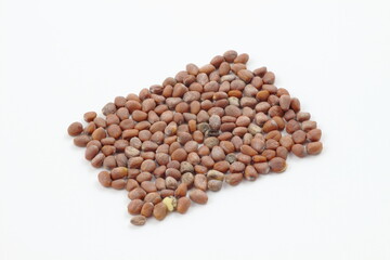 新たな始まり、大根の種