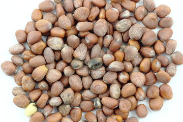 大地の恵み、大根の種