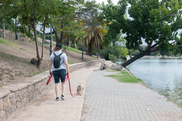 Person walking his dog on a path beside a lake in the park at sunset.