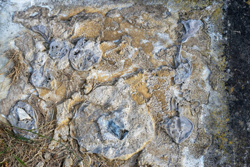 Cement and cement paste abstract texture background.