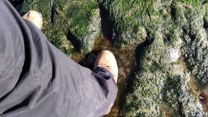 Dinosaur Footprints Staffin Beach, Isle of Skye, Scotlands. Footprints of Ornithopods, a group of...