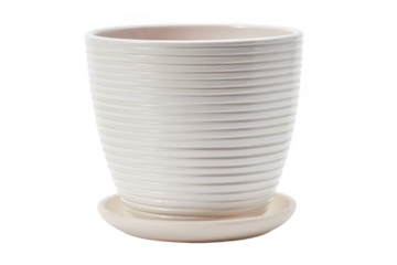 Textured white ceramic planter with saucer on transparent background