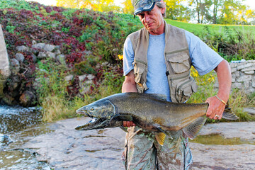 Salmon fishing