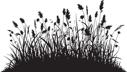 wild grass and wheat silhouette vector, black natural field scene with tall blades and grain stalks for rural and botanical design