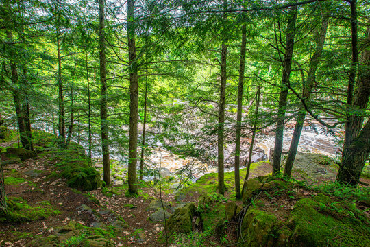 Dells of the Eau Claire River county park in Aniwa, Wisconsin in early summer