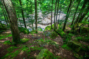 Dells of the Eau Claire River county park in Aniwa, Wisconsin in early summer