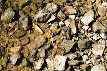 Close-up of natural riverbed stones underwater, with sunlight, algae and sand. Natural background,...