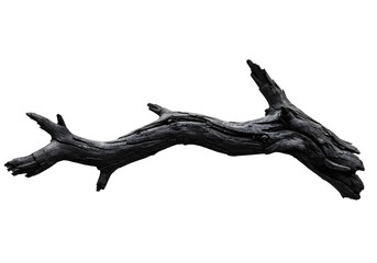 Isolated Dark Driftwood Branch on White Background Nature Texture, Weathered Wood, Natural Element.