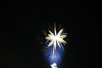 Stunning Fireworks Display Blue and White Starburst in Night Sky