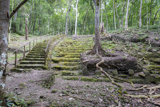 El Mirador, the bottom of La Danta pyramid deep in the jungles of Guatemala. You can only reach the Mayan site with a 2 day hike through the jungle, or a helicopter ride. 