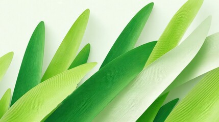 Obraz premium Green Leaves Texture - Nature Background