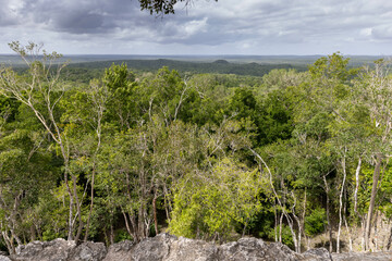 El Mirador, view from  the top of La Danta pyramid deep in the jungles of Guatemala. You can only...