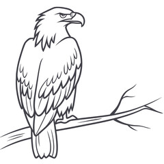Majestic eagle perched on a branch bird nature