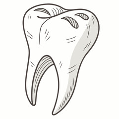 Stylized Tooth Illustration with Shading dental medical