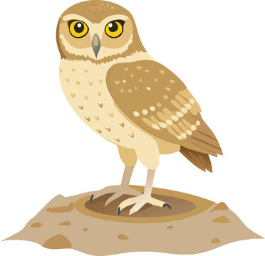A burrowing owl standing at its burrow entrance, observing its surroundings.