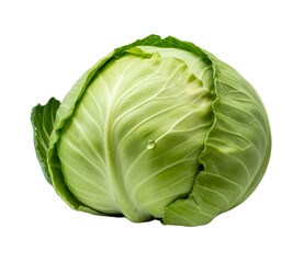 Fototapeta premium Fresh green cabbage with water droplet isolated on a transparent background