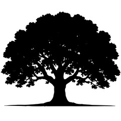 Majestic Silhouette of a Tree Against a White Background