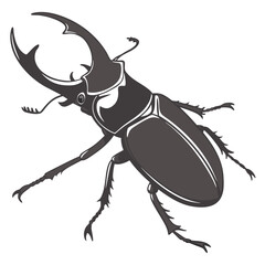 Stag beetle with large mandibles insect arthropod