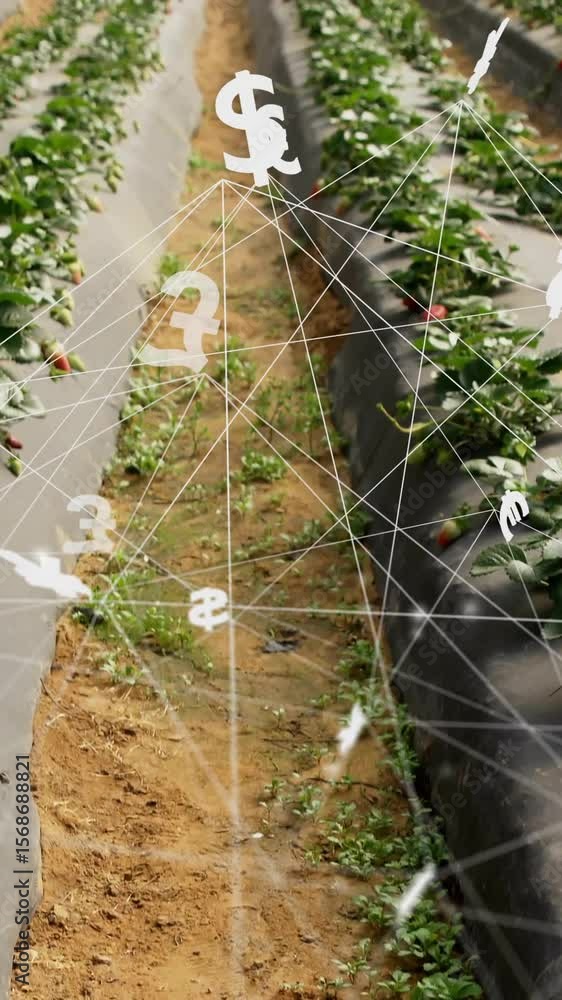 Poster financial symbols and network connections animation over rows of crops in field
