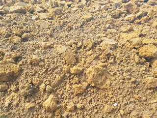 dry soil texture with stones and pebble