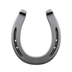 Dark metal horseshoe for good luck